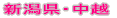 Vzn